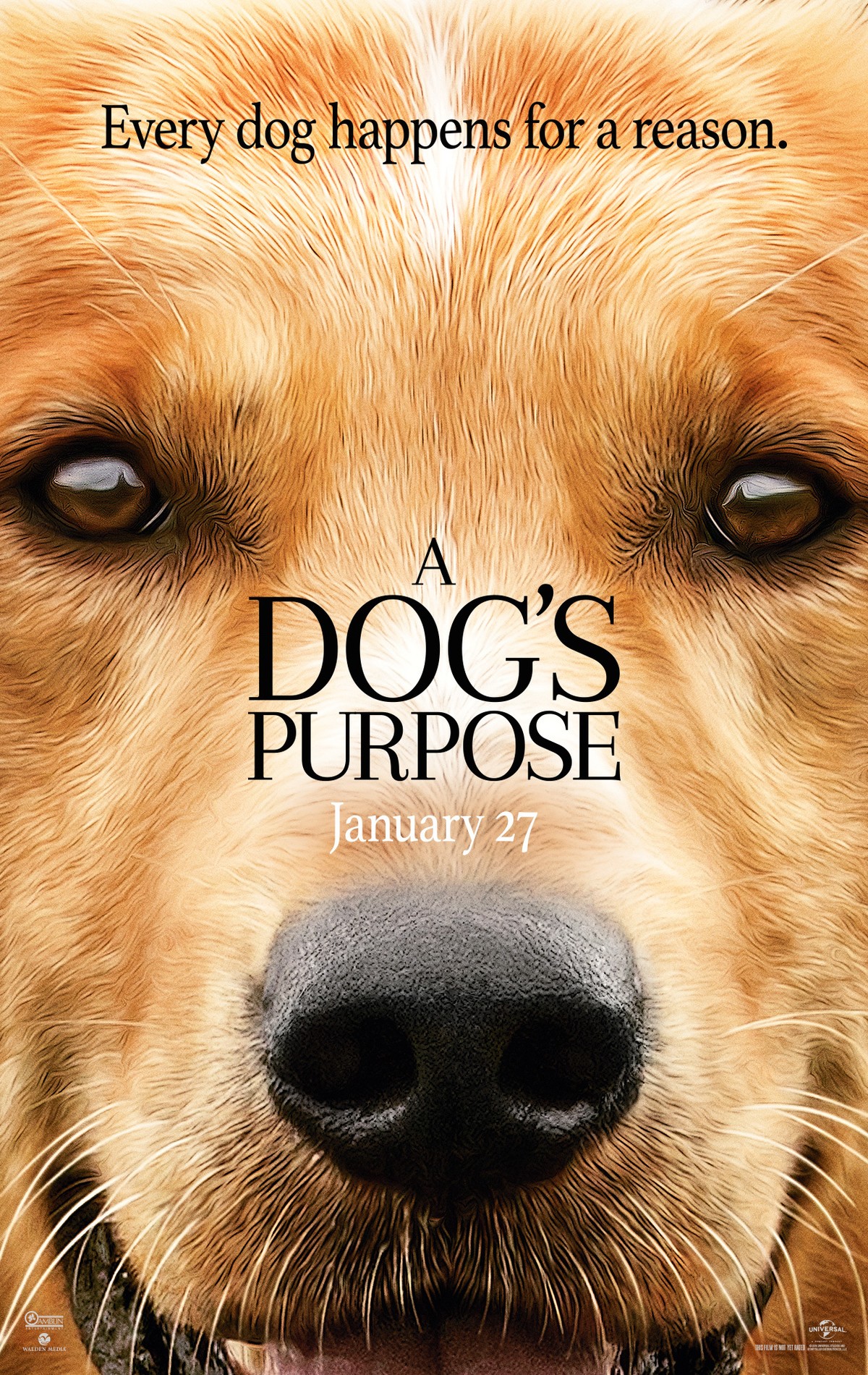 Cover van A Dog's Purpose