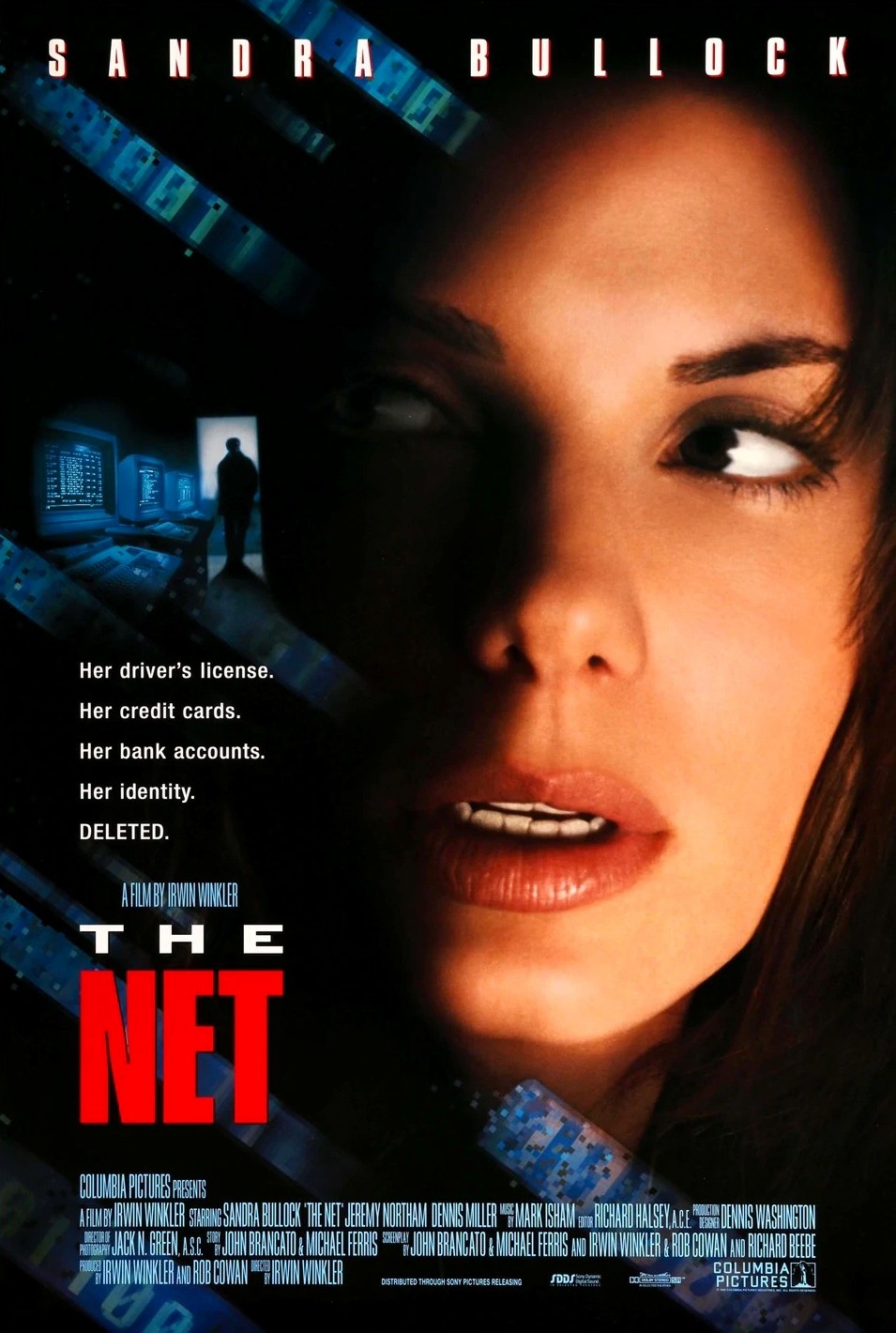 Cover van The Net
